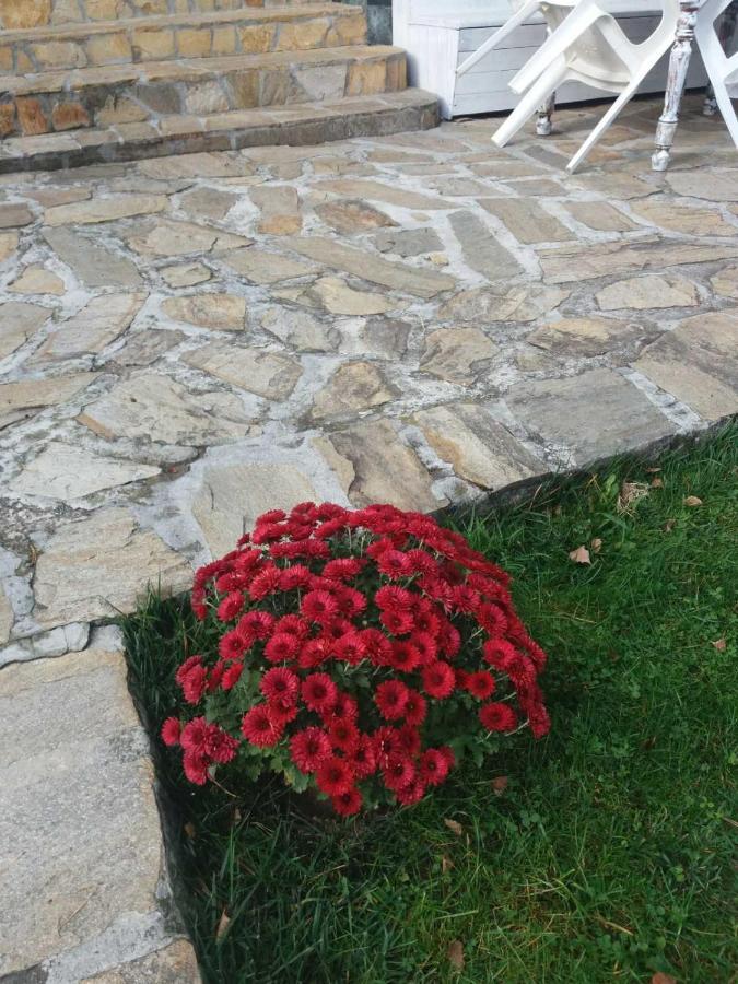 Вила Сладък Живот Tsigov Chark Dış mekan fotoğraf